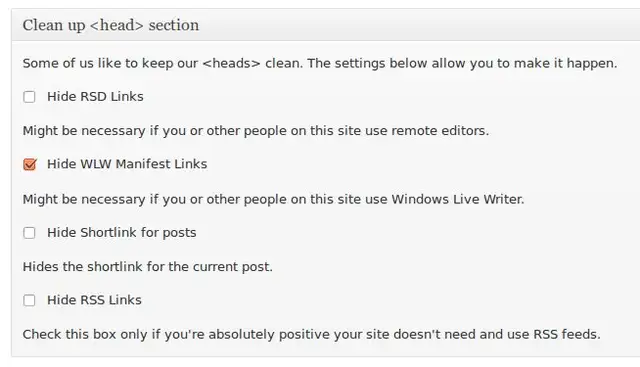 seo-wordpress-clean