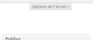 wordpress-option-ecran-1