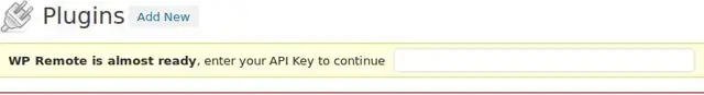 wp-remote-wordpress-5