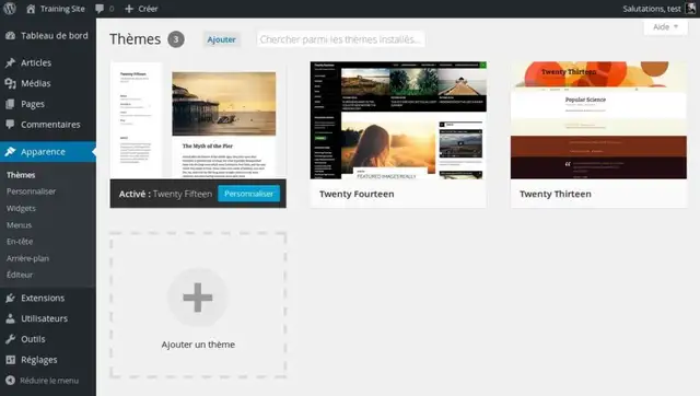 01-installer-theme-wordpress