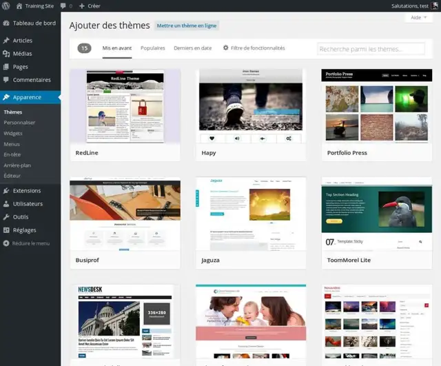 02-installer-theme-wordpress