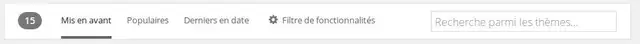 03-installer-theme-wordpress