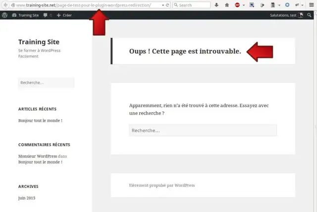 05-plugin-wordpress-redirection