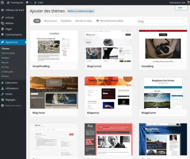 06-installer-theme-wordpress