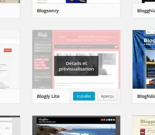 07-installer-theme-wordpress