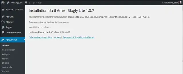11-installer-theme-wordpress