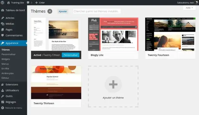 12-installer-theme-wordpress