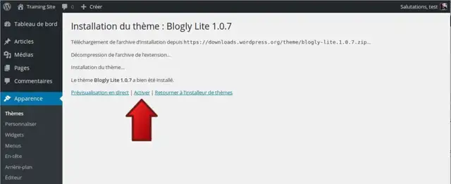 13-installer-theme-wordpress