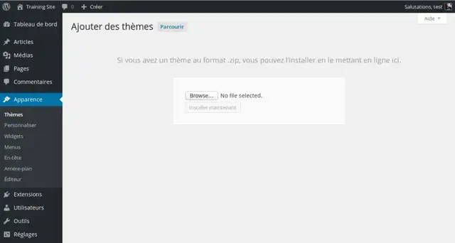 17-installer-theme-wordpress