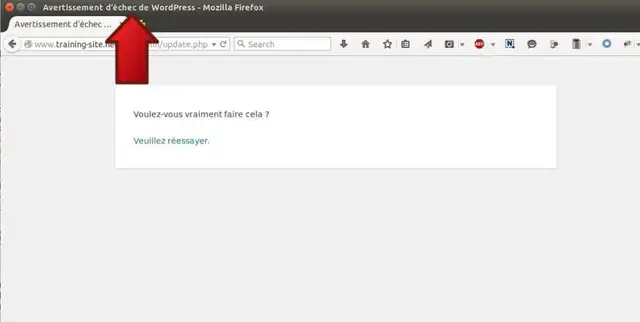 19-installer-theme-wordpress