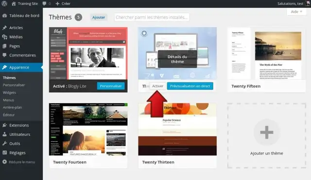21-installer-theme-wordpress