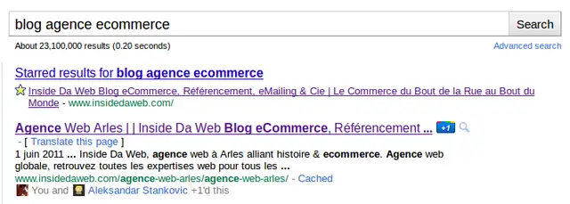 Google_bouton+1_blog_agence_ecommerce