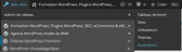 Installation-Plugins-WordPress-Multisites-1