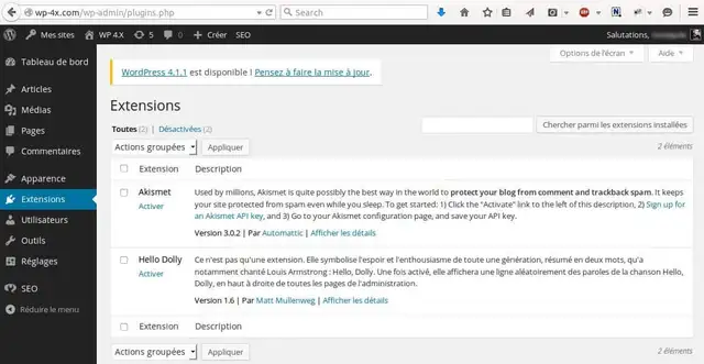 Installation-Plugins-WordPress-Multisites-11
