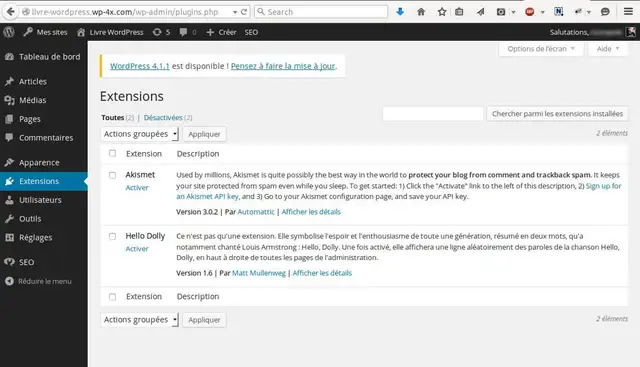 Installation-Plugins-WordPress-Multisites-12