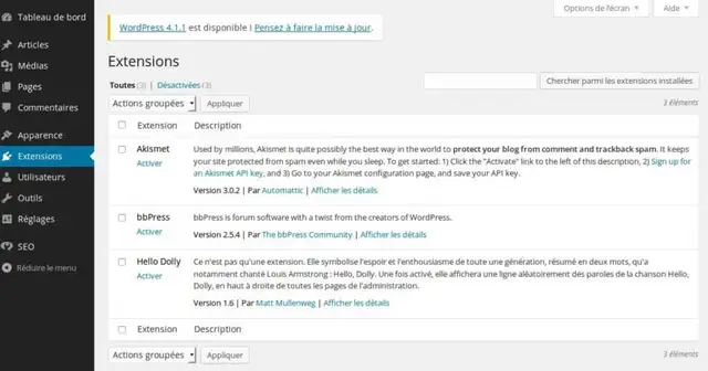 Installation-Plugins-WordPress-Multisites-13