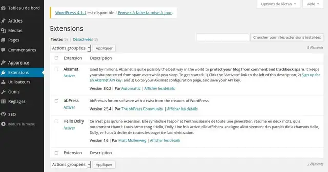 Installation-Plugins-WordPress-Multisites-13