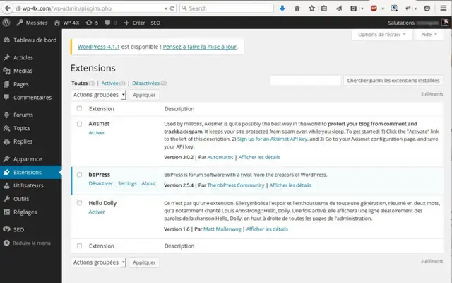 Installation-Plugins-WordPress-Multisites-14