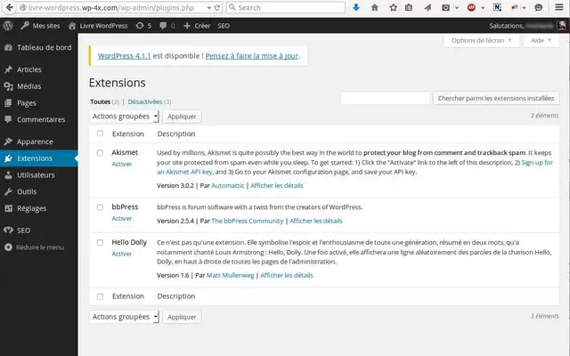 Installation-Plugins-WordPress-Multisites-15