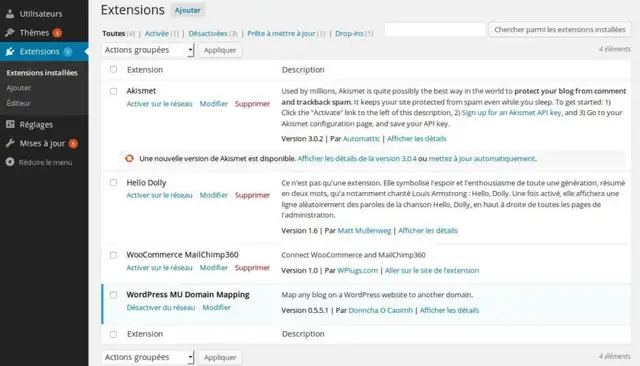 Installation-Plugins-WordPress-Multisites-2
