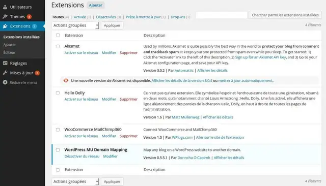 Installation-Plugins-WordPress-Multisites-2