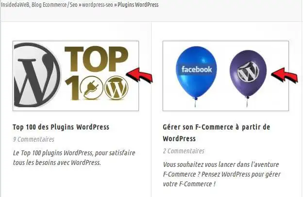 debutant-wordpress-creer-article-27