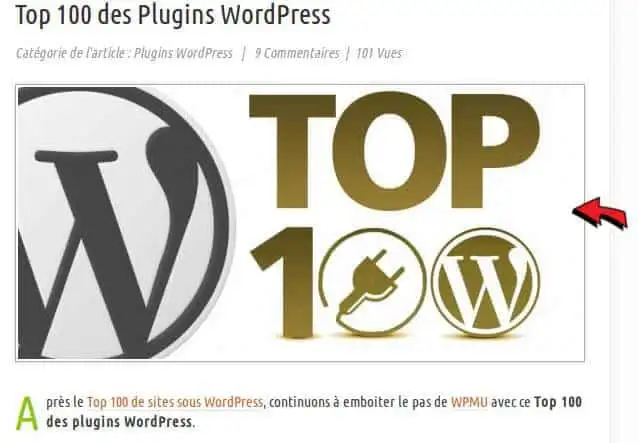debutant-wordpress-creer-article-28
