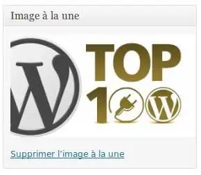 debutant-wordpress-creer-article-30