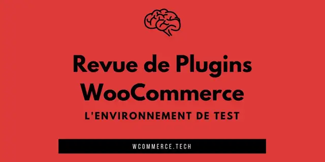 2-test-optimisation-image-photo-aplat-couleur-avec-texte