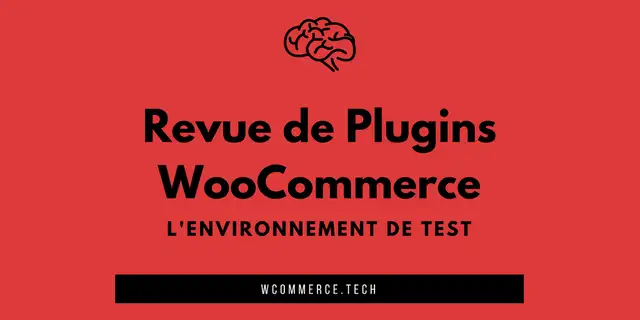 2-test-optimisation-image-photo-aplat-couleur-avec-texte