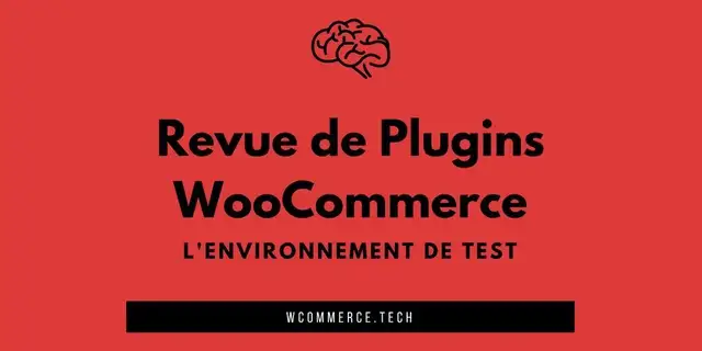 2-test-optimisation-image-photo-aplat-couleur-avec-texte-kraken-optimized