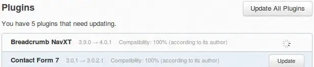 wp-remote-wordpress-9