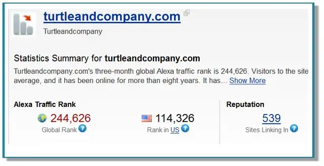 Ashford - Turtle Interactive