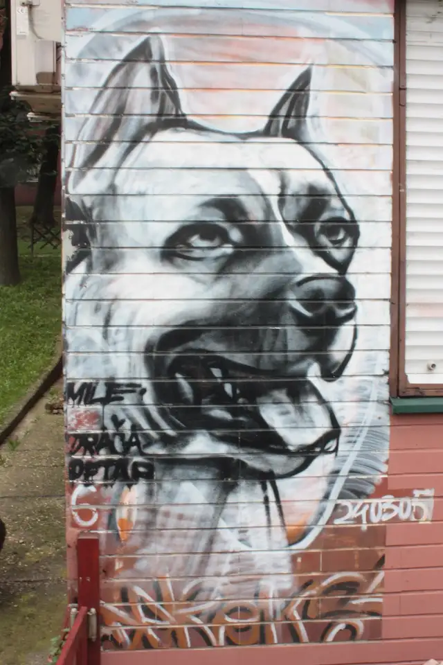 photo-graphiti-belgrade-beograd-picture-insidedaweb (36)