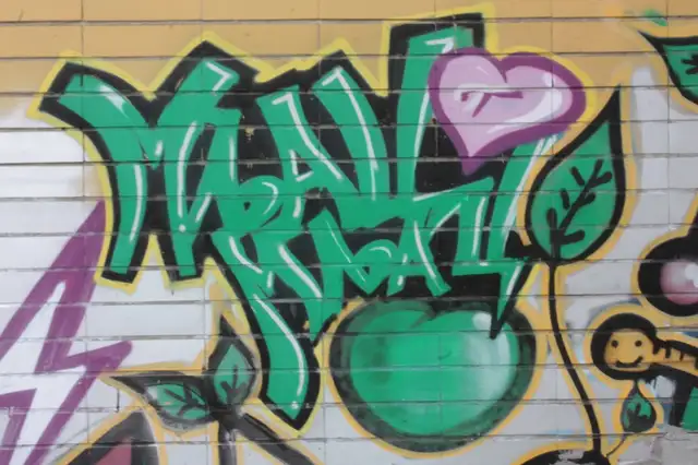 photo-graphiti-belgrade-beograd-picture-insidedaweb (50)