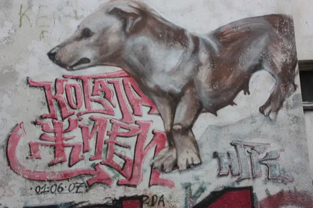 photo-graphiti-belgrade-beograd-picture-insidedaweb (57)