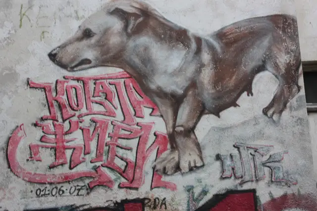 photo-graphiti-belgrade-beograd-picture-insidedaweb (57)