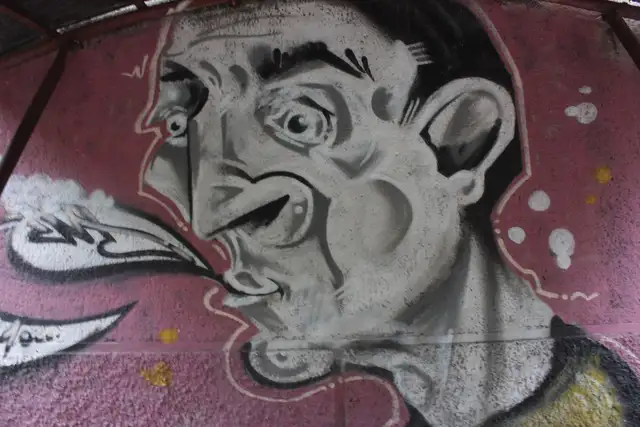 photo-graphiti-belgrade-beograd-picture-insidedaweb (67)
