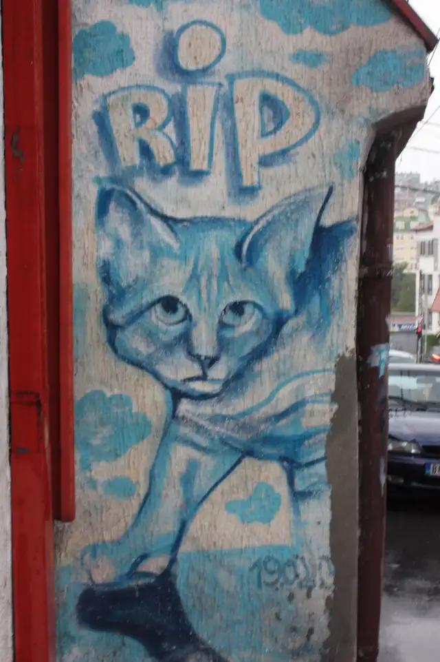 photo-graphiti-belgrade-beograd-picture-insidedaweb (92)